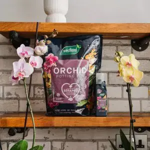 Westland Orchid Potting Mix (Enriched with Seramis) 4L - image 2
