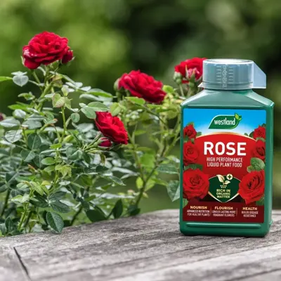 Westland Rose Specialist Liquid Feed 1L - image 2