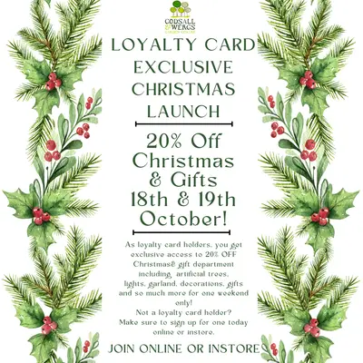 Christmas Launch Weekend