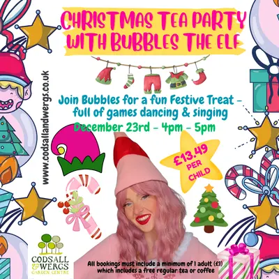 Christmas Tea Party with Bubbles the Elf