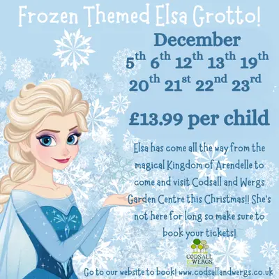 Elsa's Grotto