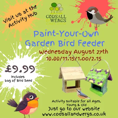 Paint-Your-Own Garden Bird feeder