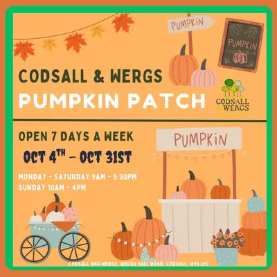 Pumpkin Patch