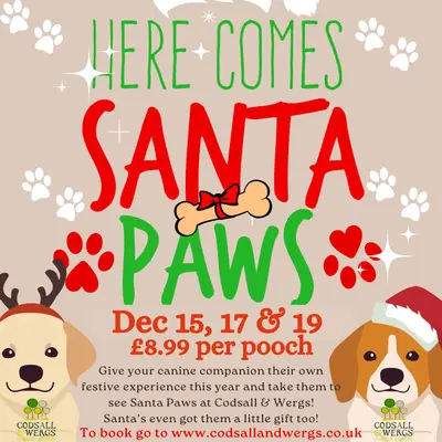 Santa Paws