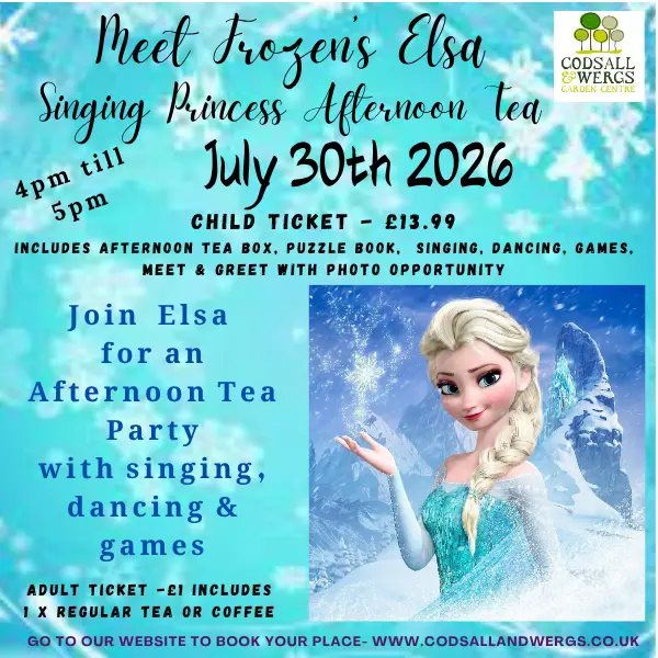 Singing Princess Elsa Afternoon Tea Party