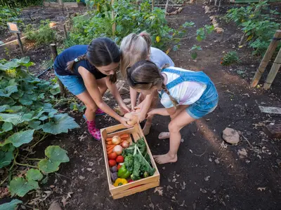 5 Easy Vegetables for Kids to Grow in Wolverhampton Gardens