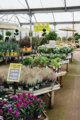 Garden Centre Photos
