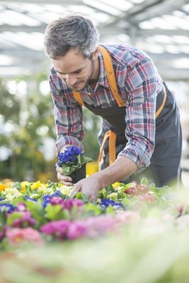 Spring at Codsall & Wergs