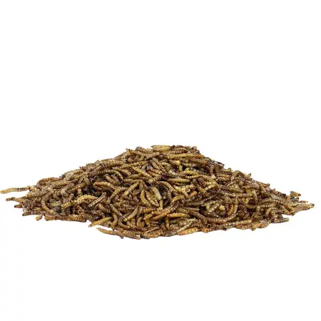 Gardman Mealworm Pouch 1.2kg - image 2