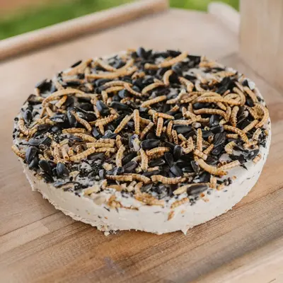 Gardman Seed & Mealworm Suet Cookie - image 2