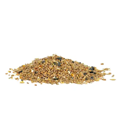 Gardman Seed Mix 1kg - image 2