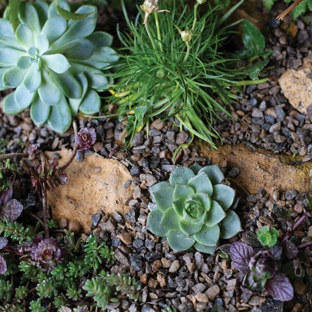 Horticultural Alpine Grit Handy Pack - image 2