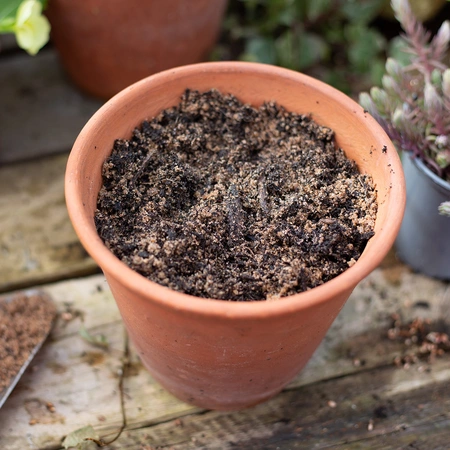Kelkay Horticultural Grit Sand Handy Pack - image 2
