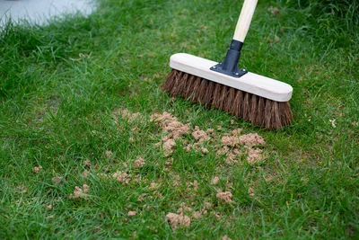 Kelkay Horticultural Sharp Sand - image 2