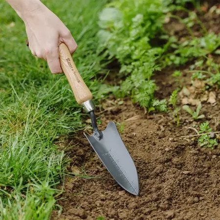 Kent & Stowe Carbon Steel Hand Transplanting Trowel FSC - image 2