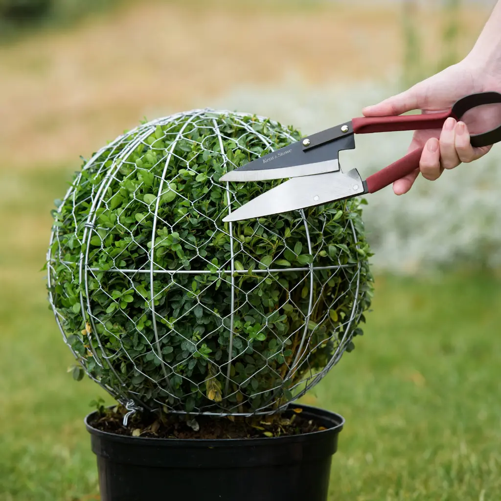 Topiary shears sales