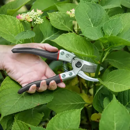 Kent & Stowe Left Handed Secateurs 8" - image 2