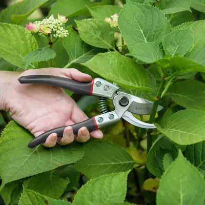 Kent & Stowe Left Handed Secateurs 8" - image 2