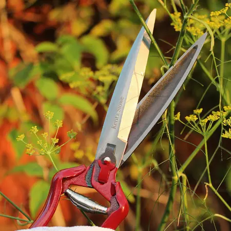 Kent & Stowe Perennial Hand Shears - image 3