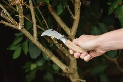 Kent & Stowe Pruning Knife FSC - image 2