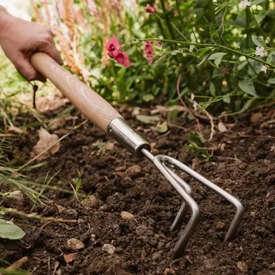 Kent & Stowe Stainless Steel Border 3 Prong Cultivator FSC - image 3