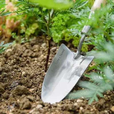 Kent & Stowe Stainless Steel Border Hand Trowel FSC - image 3