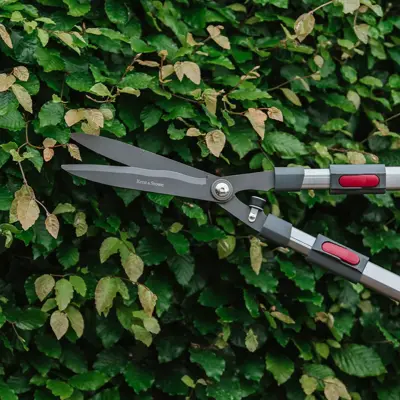 Kent & Stowe Telescopic Hedge Shears - image 3