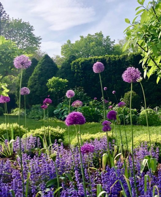 Plants Codsall & Wergs Wolverhampton Garden Centre & Shopping