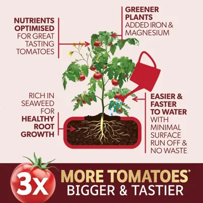 Westland Big Tom Tomato Food 1L + 25% Extra Free - image 3
