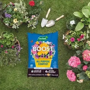 Westland Boost All Purpose Compost 46L - image 2