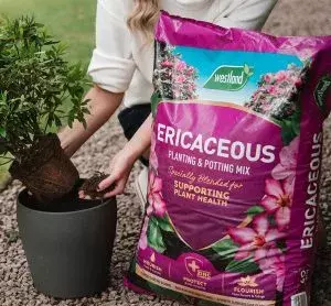 Westland Ericaceous Planting & Potting Mix 50L - image 3