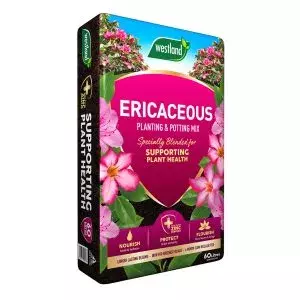 Westland Ericaceous Planting & Potting Mix 50L - image 1