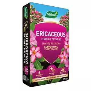 Westland Ericaceous Planting & Potting Mix Bag 25L - image 1