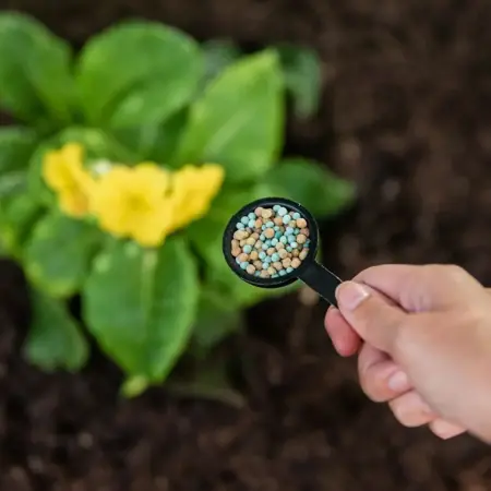 Westland Gro-Sure All-Purpose Slow Release Plant Food 1.1kg Jar - image 2