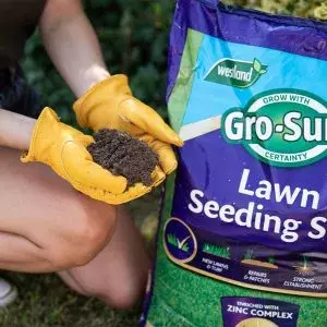 Westland Gro-Sure Lawn Seeding Soil 30L - image 2