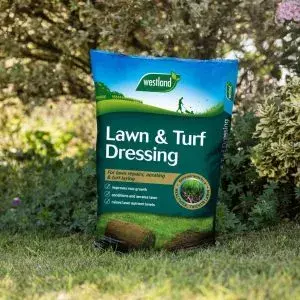 Westland Lawn & Turf Dressing 25L - image 2