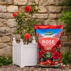 Westland Rose Planting & Potting Peat Free Mix 50L - image 2