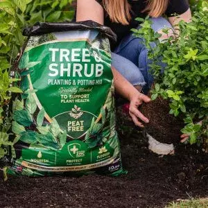 Westland Tree & Shrub Planting Peat Free Mix 50L - image 2