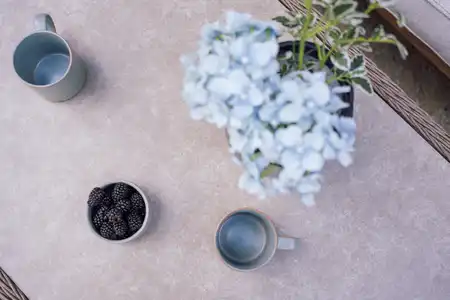 Wrottesley 5-Seat Lounge Set Adjustable Table - Natural - image 4